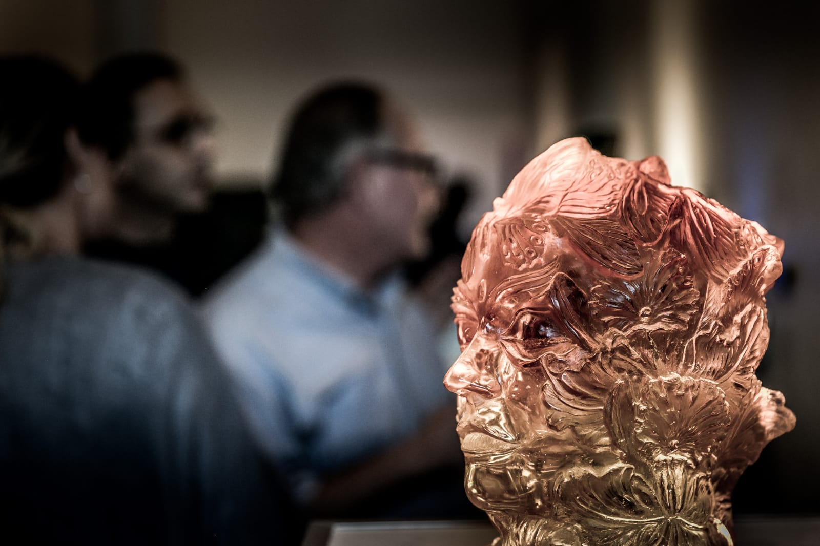 Butterflies and Orchids