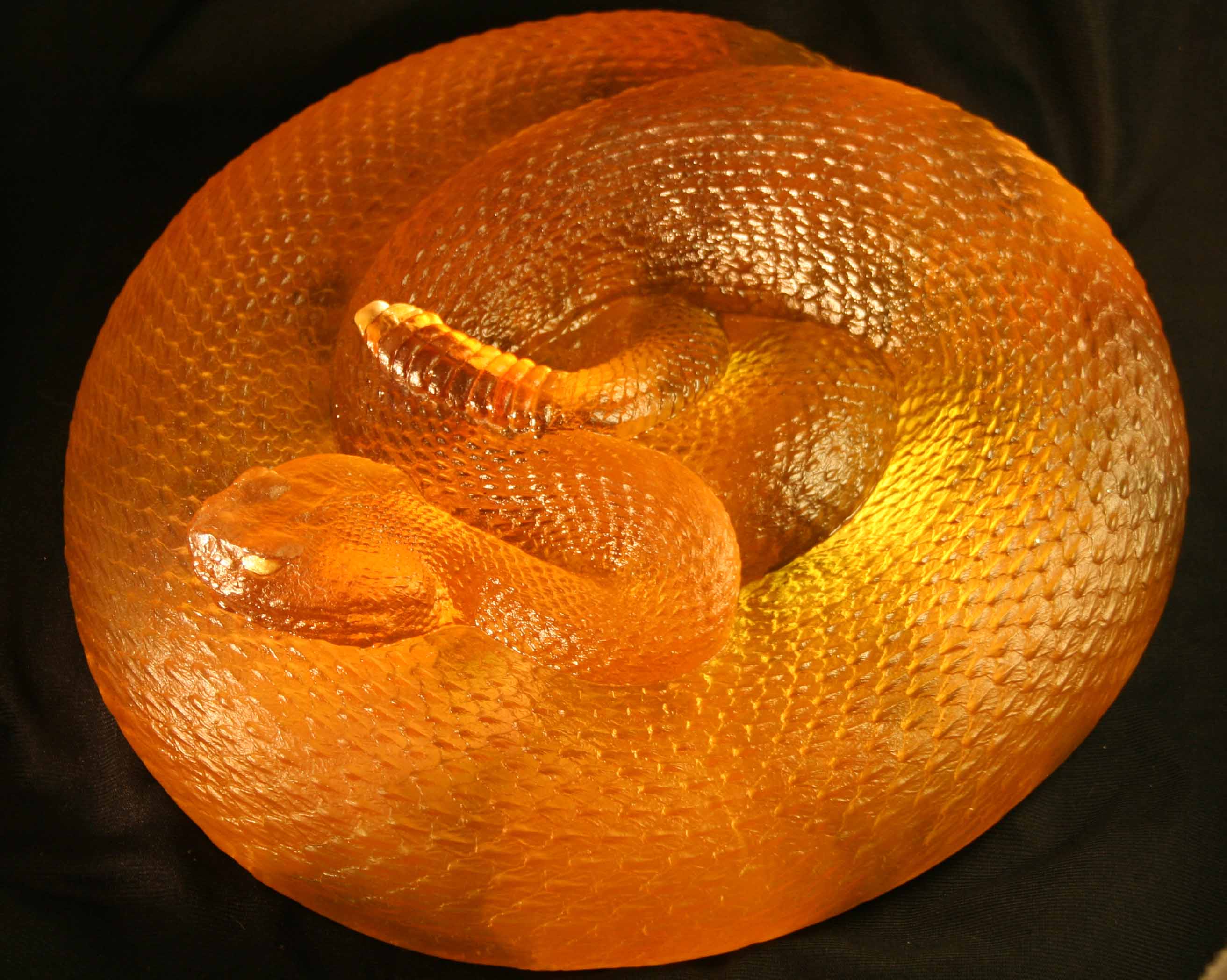 Texas Rattlesnake