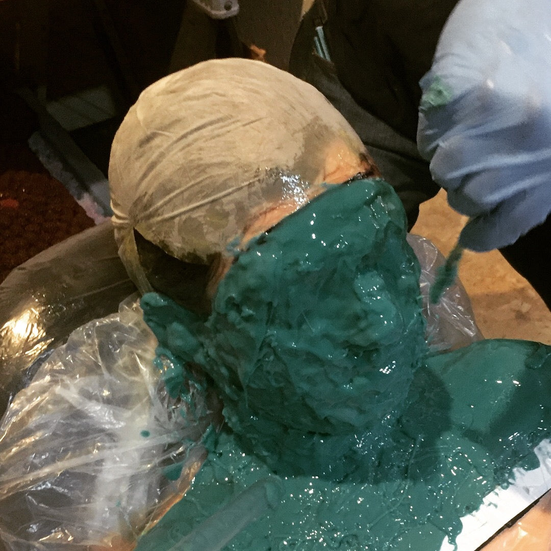 Butterflies and Orchids