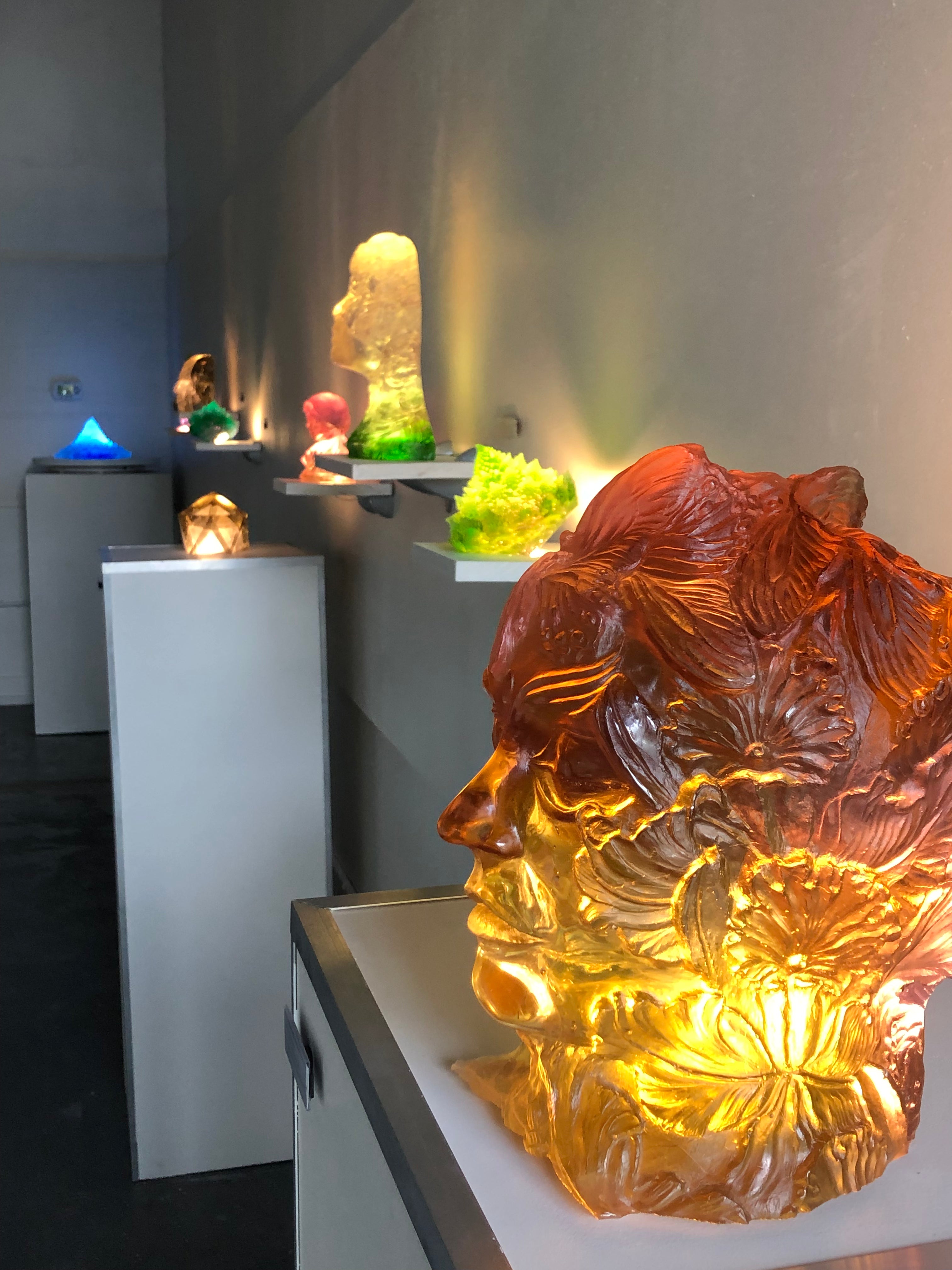 Butterflies and Orchids