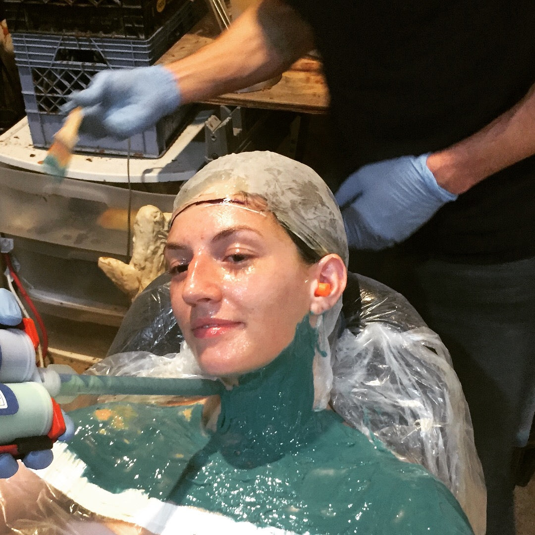 Butterflies and Orchids