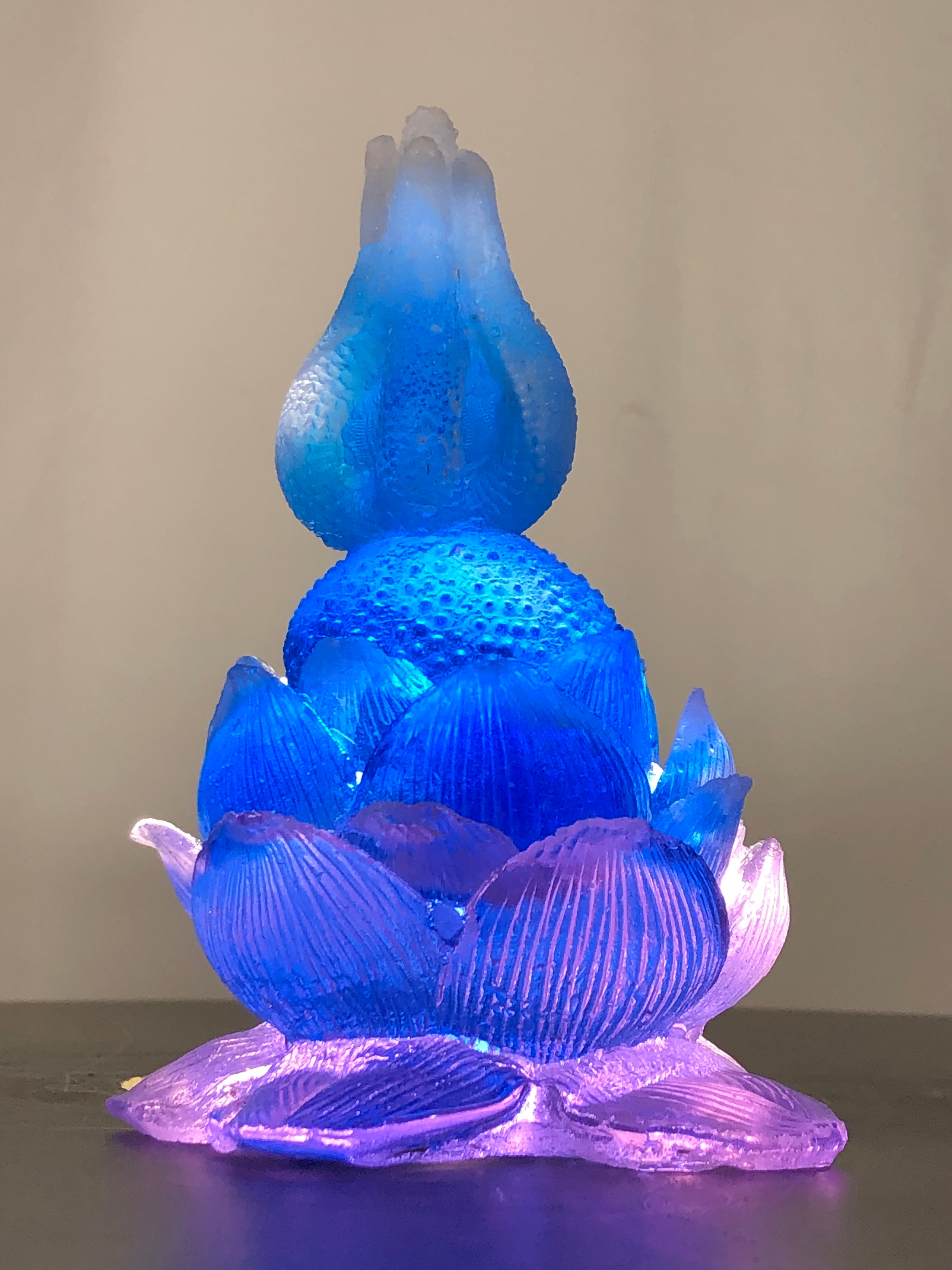 Star Lotus